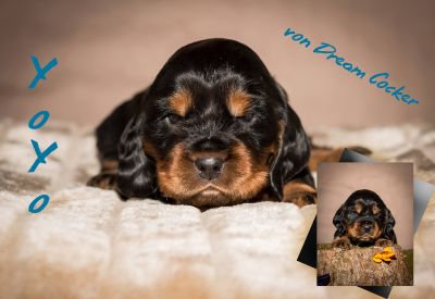 Y Littel die Herzensbrecher Coco Chanel A Wurf_44