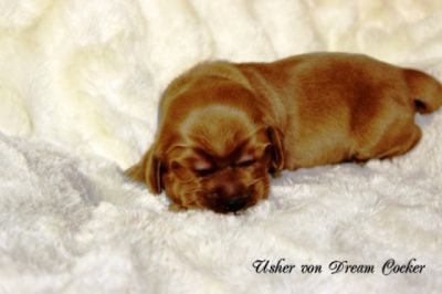 Wenn aus Liebe Leben wird...