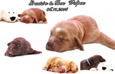 Unsere Model Babys :-*_1