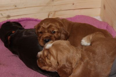 Wir sind 3 wochen alt _22