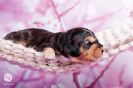 Unser woneproppen mit 2 Wochen _13