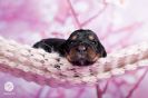 Unser woneproppen mit 2 Wochen _16