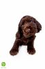 Unsere F-chen 08.05.2016