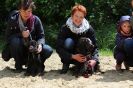Welpentreffen Ben Welpen 30.05.2015