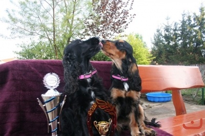 1_platz_best_of_breed_20120502_1583708180