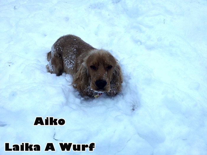 aiko